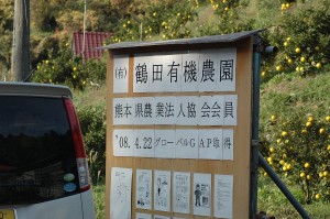 熊本　鶴田有機農園　国産レモン　特別栽培