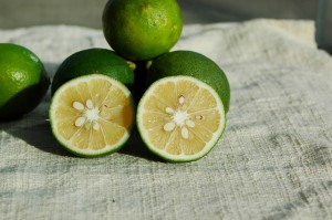 特別栽培グリーンレモン