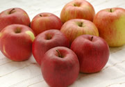 特別栽培リンゴ