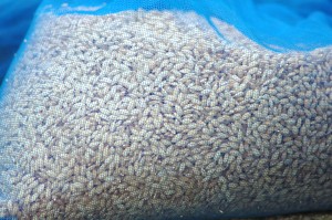 滋賀県産有機玄米