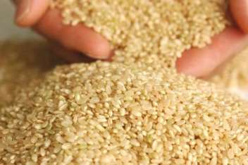 玄米のヌカや胚芽の部分には食物繊維が多く、白米の6倍含まれている