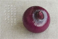 赤玉ねぎ