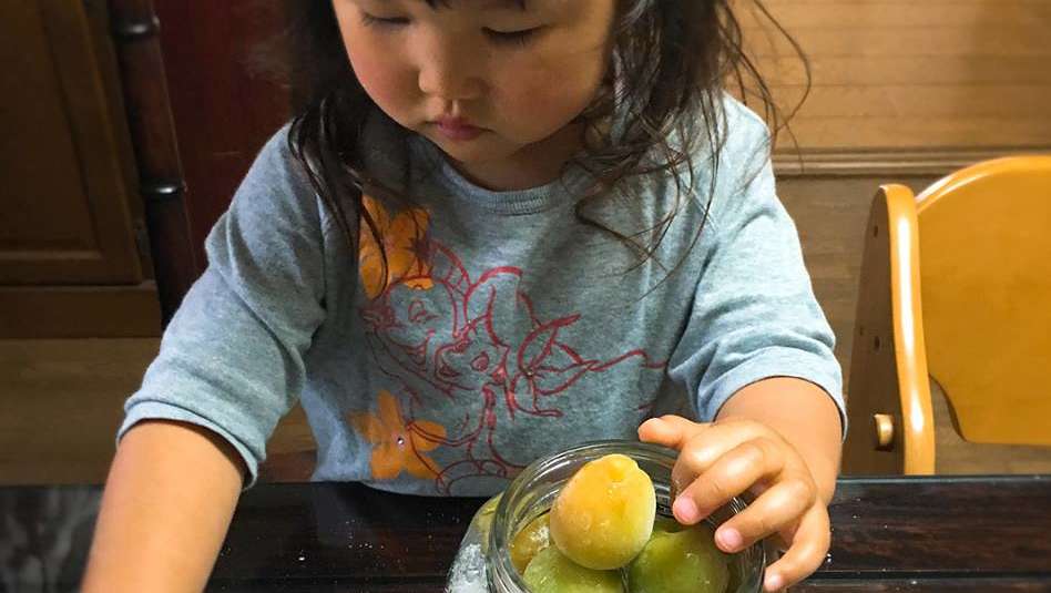 野菜のレシピ 梅ジュース 梅シロップの作り方 有機野菜のぶどうの木