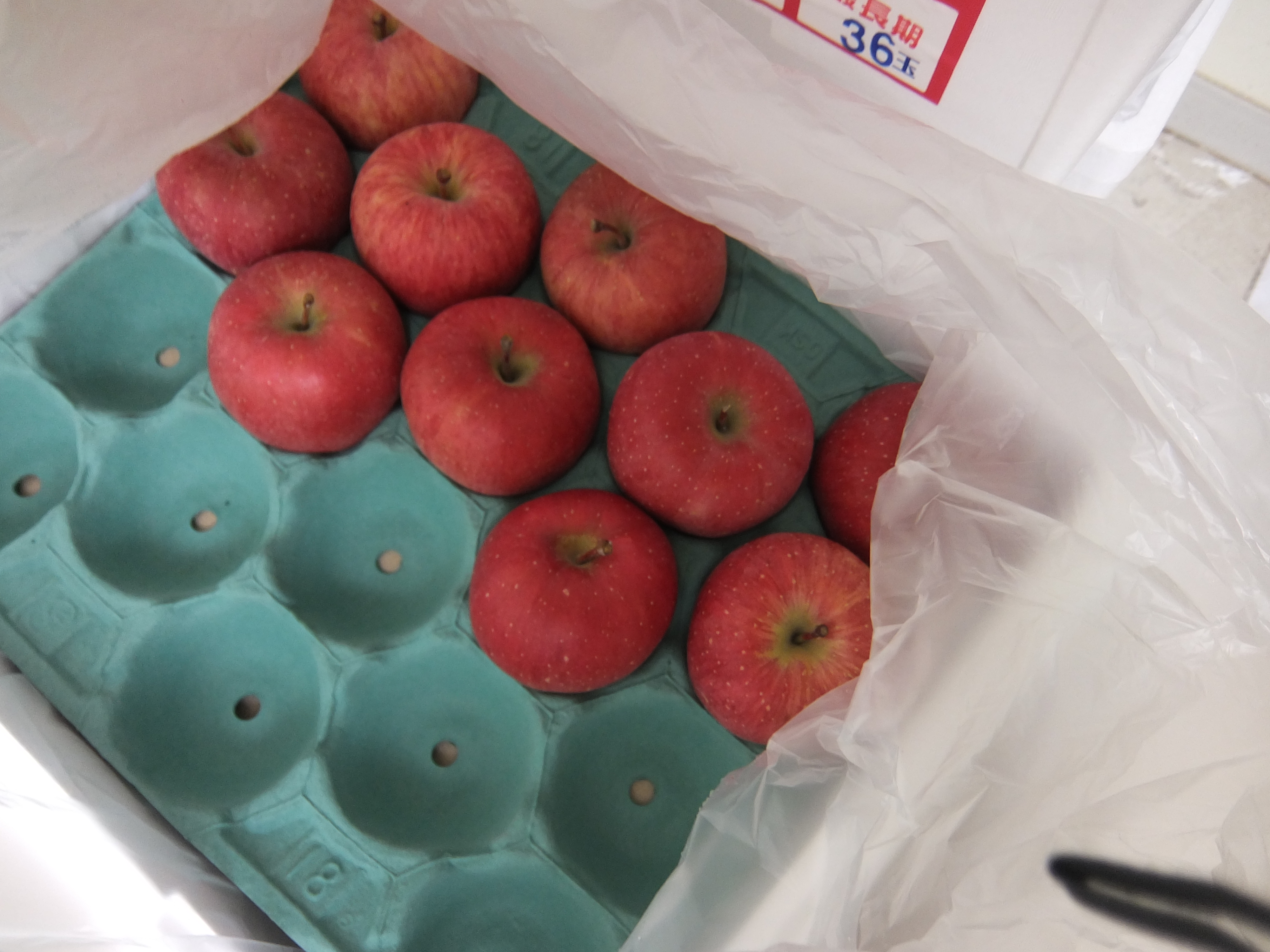 夏においしいりんご　CA貯蔵りんご