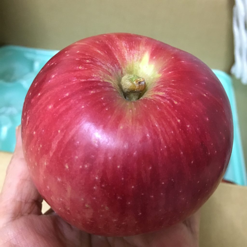 特別栽培りんご　つがる