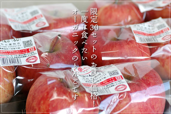 さっぱりと食べやすい 安心の有機JASりんご一度は試してみませんか？ 【数量限定】有機栽培ふじ 2個入×5パックセット有機JAS認定 