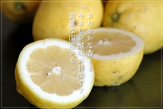 さわやかな香りとやさしい酸味が特徴です。貴重な国産レモン。 レモン