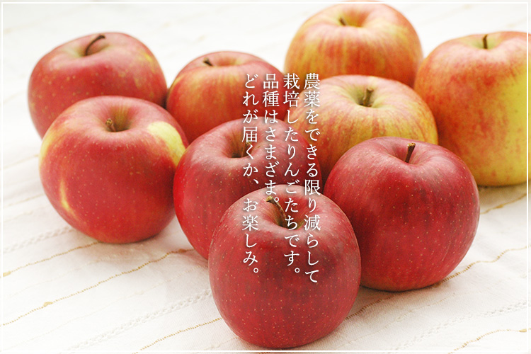 特別栽培　桜の季節においしいりんご ふじ (4㎏)