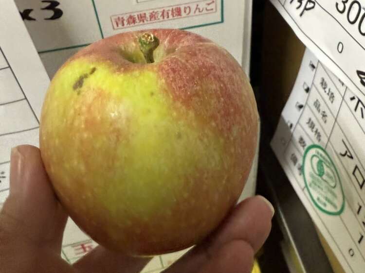 極早生りんご 恋空(こいぞら)