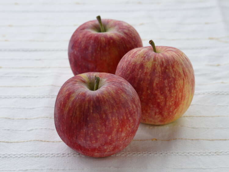 夏りんご シナノリップ