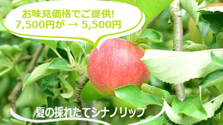 お知らせ] 食べてみて！夏りんご シナノリップ 有機野菜のぶどうの木